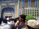 Darbare Hazrat Sakhi Sultan Bahu R.a  Videos with syed irfan shah gilani