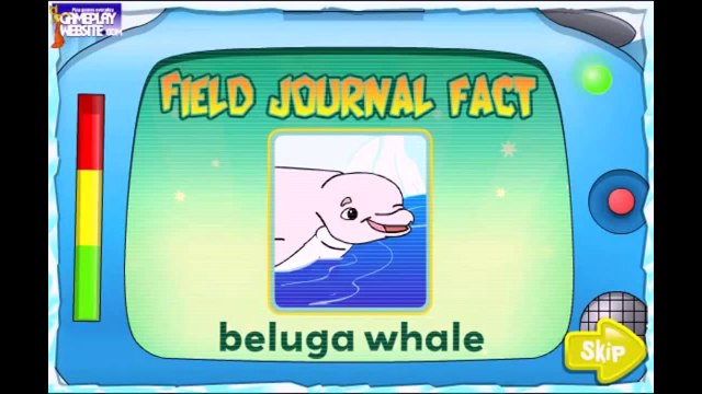 Diego s Arctic Rescue Dora and Diego games Dora the Explorer Baby and Girl cartoons and games