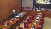 Audition de Mme Anne-Sophie Benoit, présidente de l’Association nationale des directeurs de l’éducation des villes (ANDEV) - Jeudi 6 Mars 2014