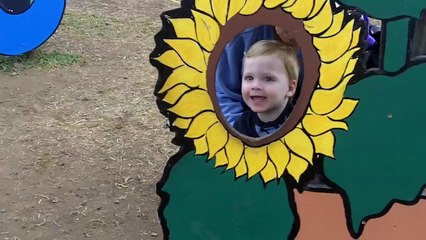 Lessons From My Grandson - Discovers Linvilla Orchards