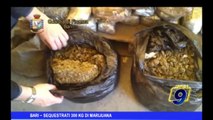 Bari | Sequestrati 300 kg di marijuana