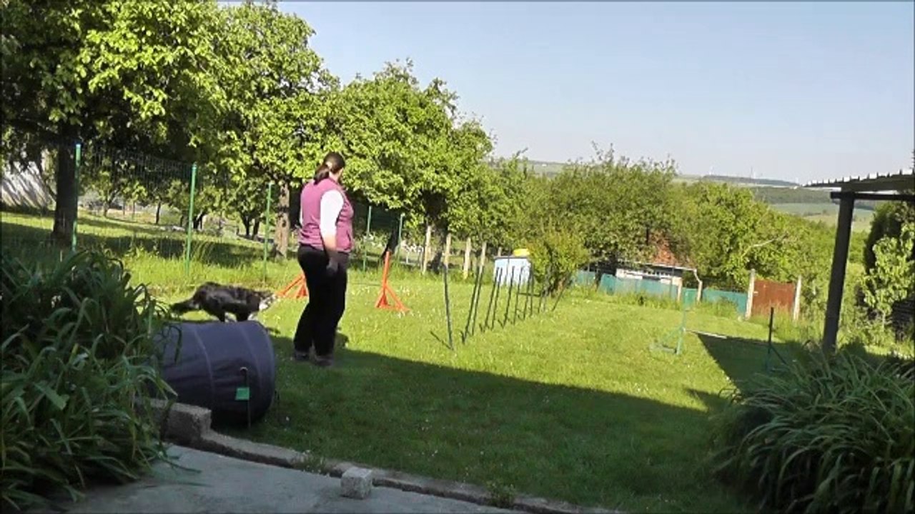 Heaven 16 mois apprentissage slalom en "V"