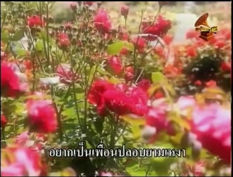 ฤทธิ์กามเทพ   สวลี  ผกาพันธุ์