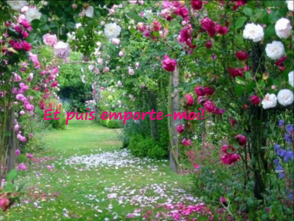 Regarde-moi (Vocal)