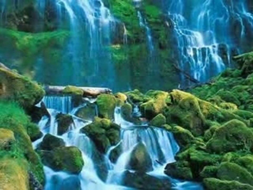 Paysage en nature