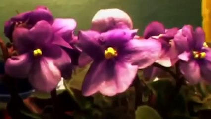 Мир вокруг это отражение наших мыслей