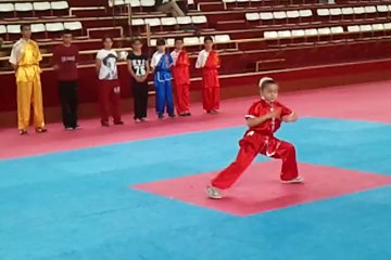wushu tao annkara il şampiyonası