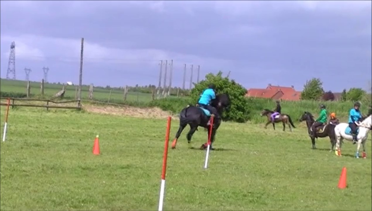 Pony-games 11.05.14