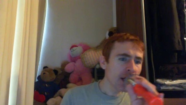 Wiwi égratigne sur le fil de Debout Sur Le Zinc