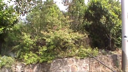 ÇOCUKLAR KİBRİTLE OYNARKEN YANGIN ÇIKARTTI