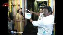 Ram's Pandaga Chesko Movie Opening - Rakul Preet Singh, Gopichand Malineni