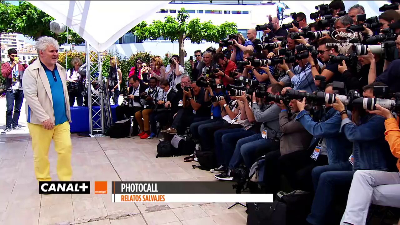 Cannes 2014 RELATOS SALVAJES - Best of Photocall
