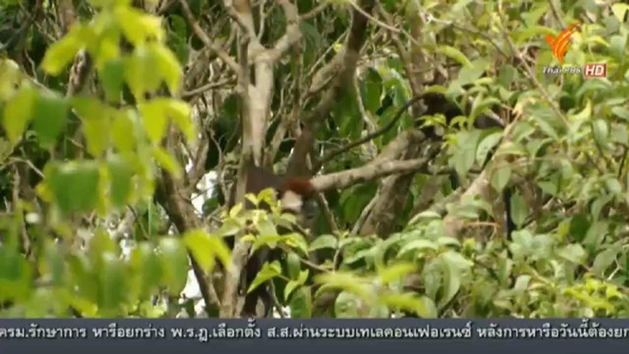 ชีวิตบนกระโจม (2) 15May14