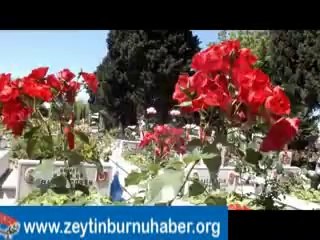 AK Partiden şehit ailelerine kahvaltı