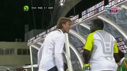 Herve Renard, the "special french" - best-of CAN 2012