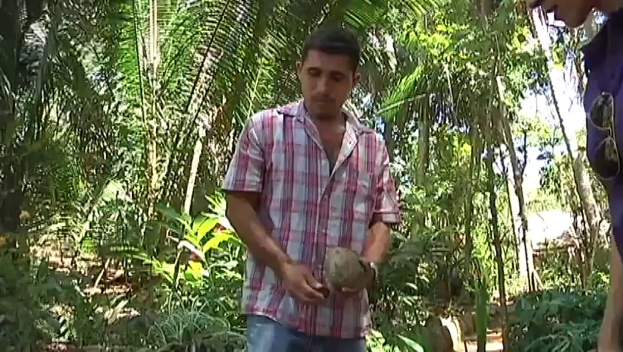 El Orquidiario marino- P13