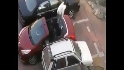 How To Deal With Parking Lot Thief Like A Boss!..