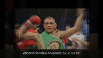 Ver Pelea Juan Manuel Márquez vs Mike Alvarado En Vivo 17 de Mayo 2014