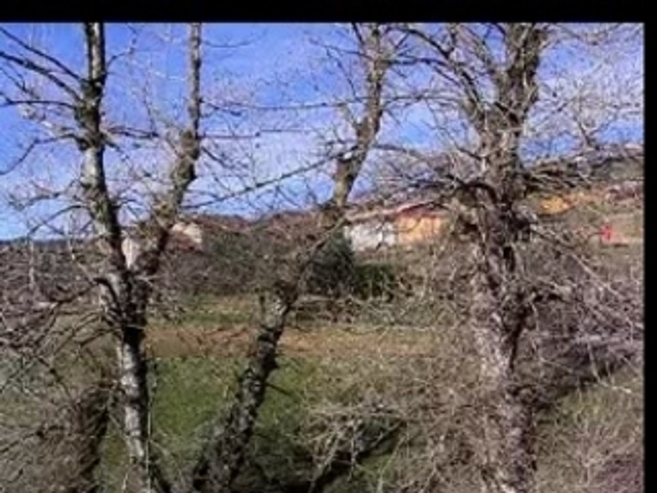 Monté-Carlo-2007 ES-14