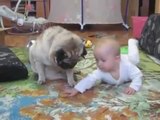 Bebek ve Köpeğin kurabiye savaşı