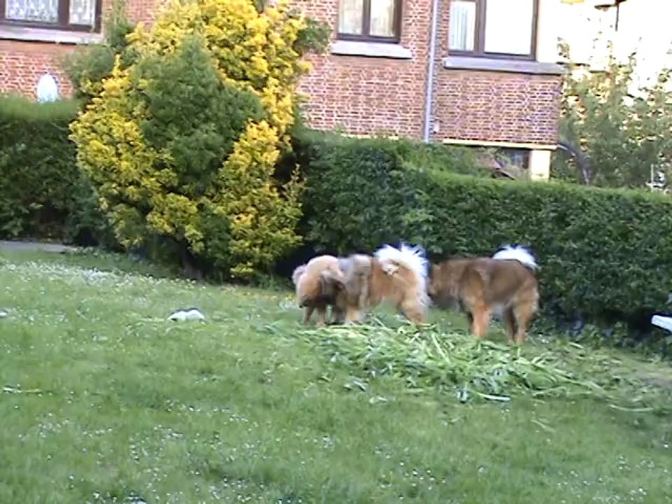 2014.05.17 - Jeux