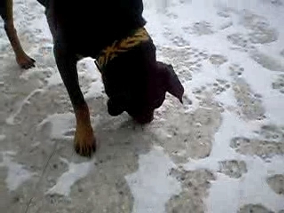 Photo 011