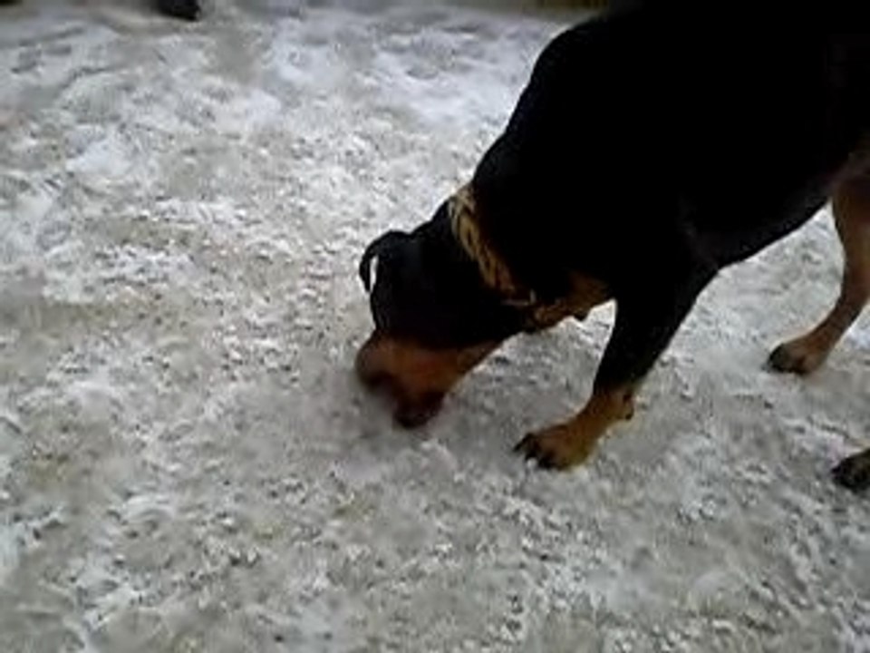 Photo 013