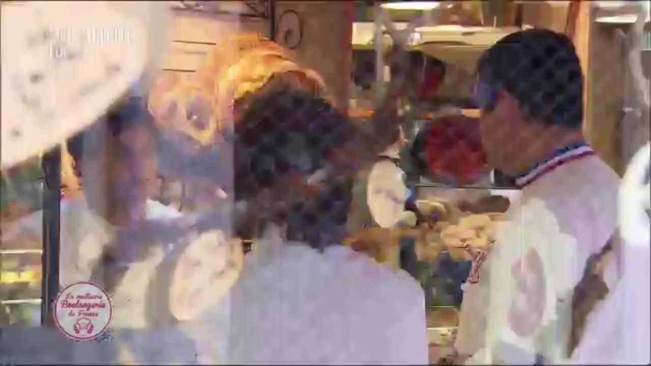 Cat Runs Into Glass Door