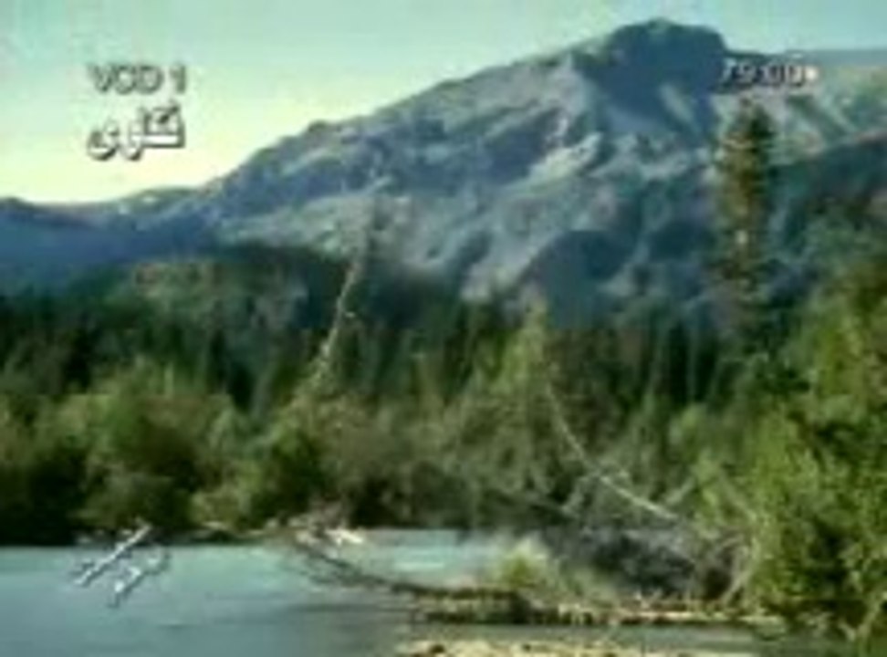 فتاوى الشيخ فريد الآنصاري - الجزء 2