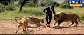 Aslanlarla Futbol Oynamak