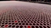 66,000 Cups Of Water + 62 Hours Of Work = One Stunning Result!