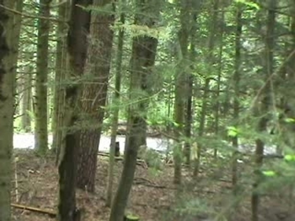 Lezeau/Abchiche - Alsace Vosges 2005