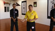 Black Flag Wing Chun Lesson 1- Basic Wing Chun Punch using Maximum Efficiency.
