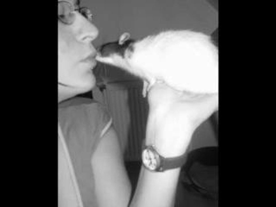 des bisous