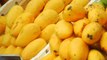 Dunya News - Farmers facing problems due to not availablity of mango processing unit in multan
