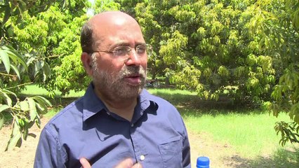 Pakistani mango growers slice in to India market