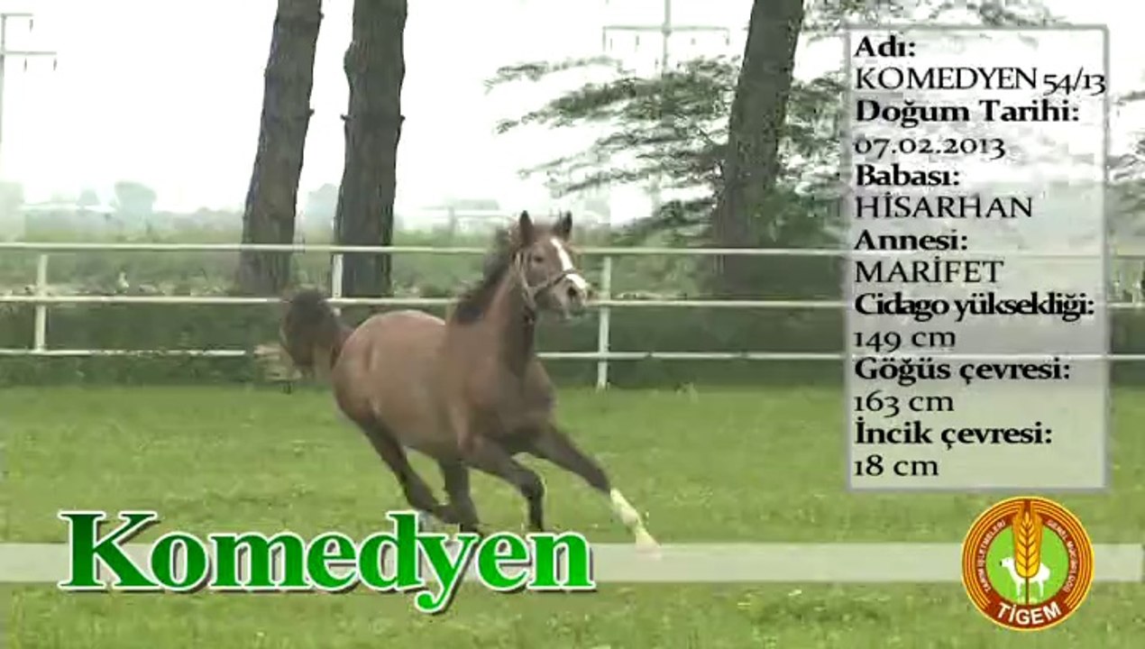 KOMEDYEN