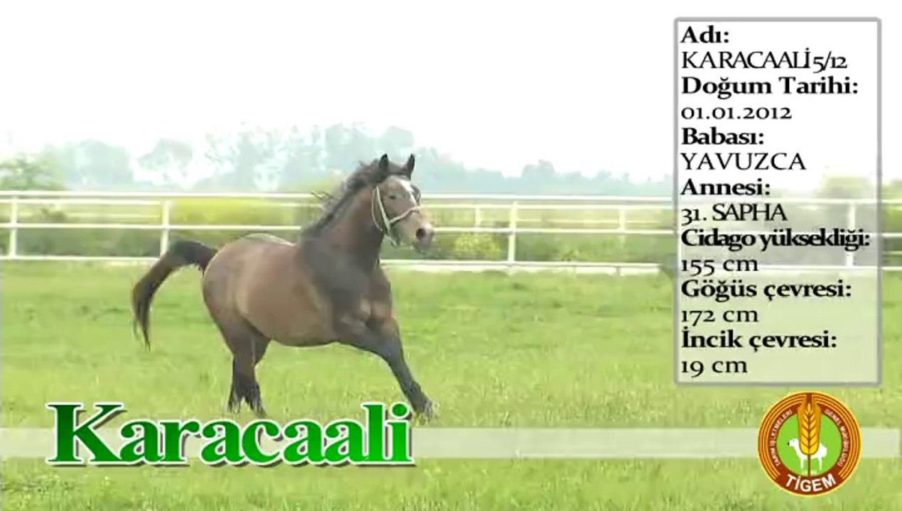 KARACAALİ