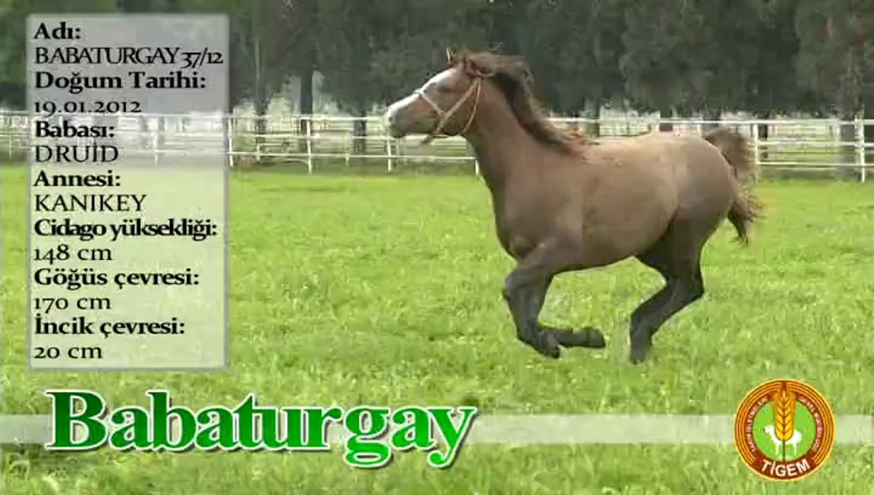 BABATURGAY