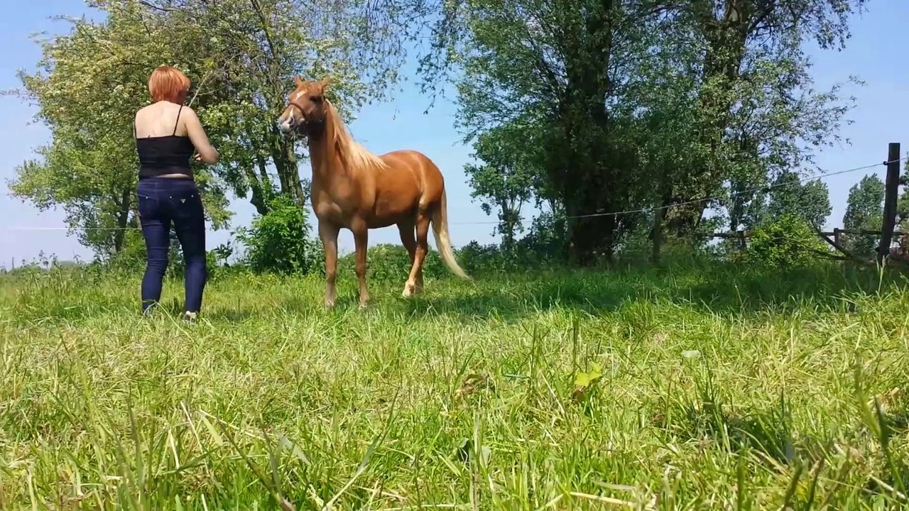 bb spi et moi on s éclate