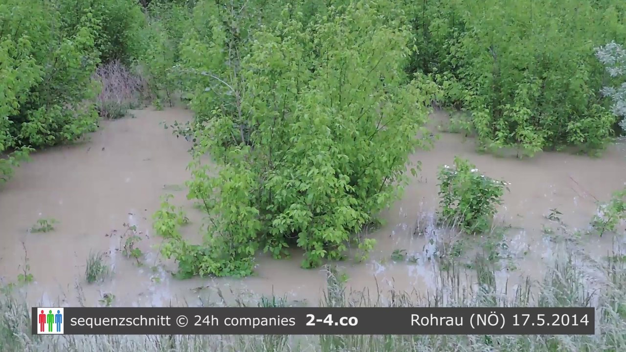 Hochwasser der Leitha in Rohrau (NÖ) - HD