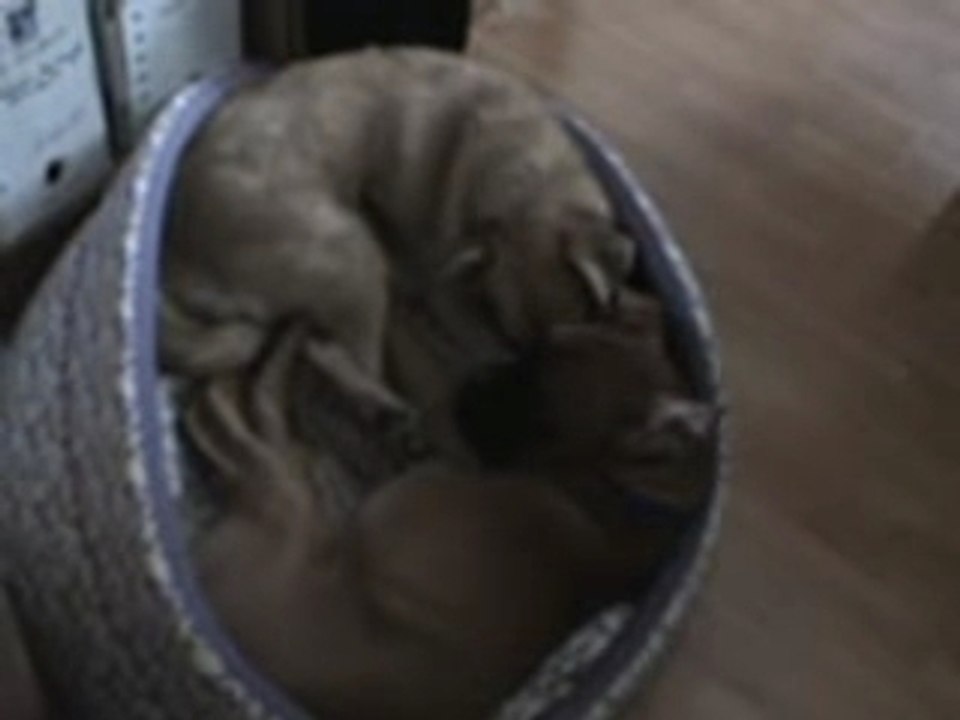 Maelle240107 pause tendresse avec savane