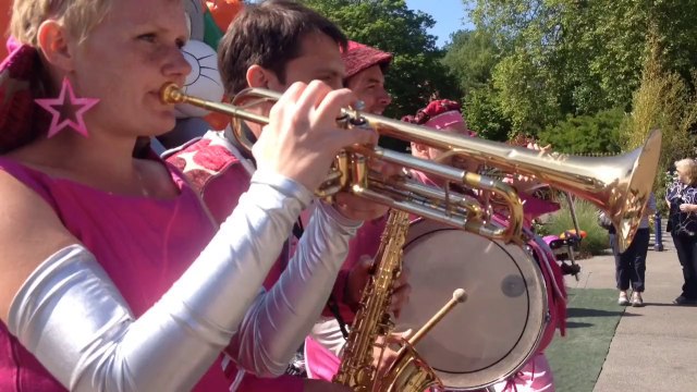 Quand les jardins sont sens dessus dessous, les Saint-Polois sont fans... de carotte !