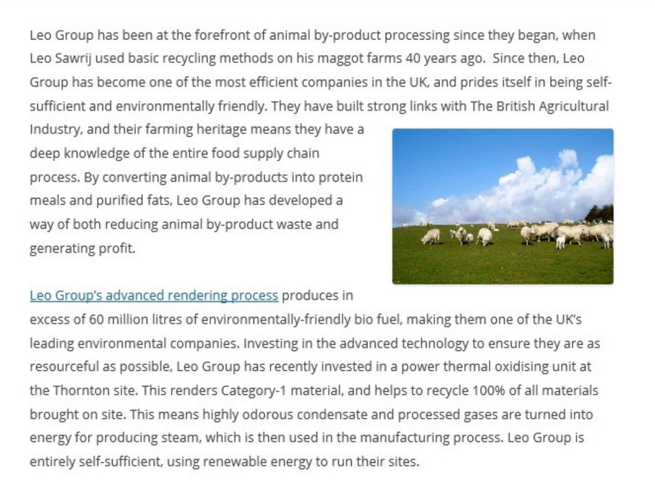 Leo Group | Leo Group at the Forefront of Renewable Resources