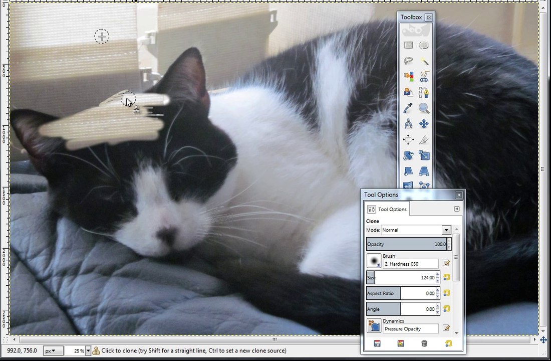 capture-4