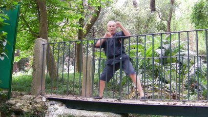 Tekki nidan