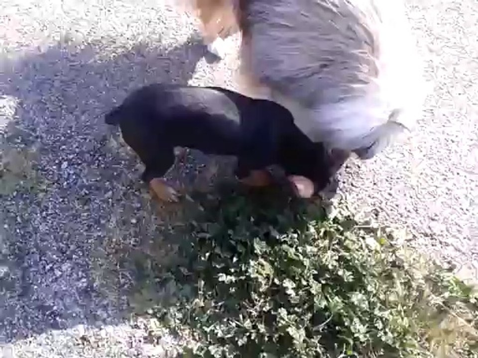 juanita en promenade