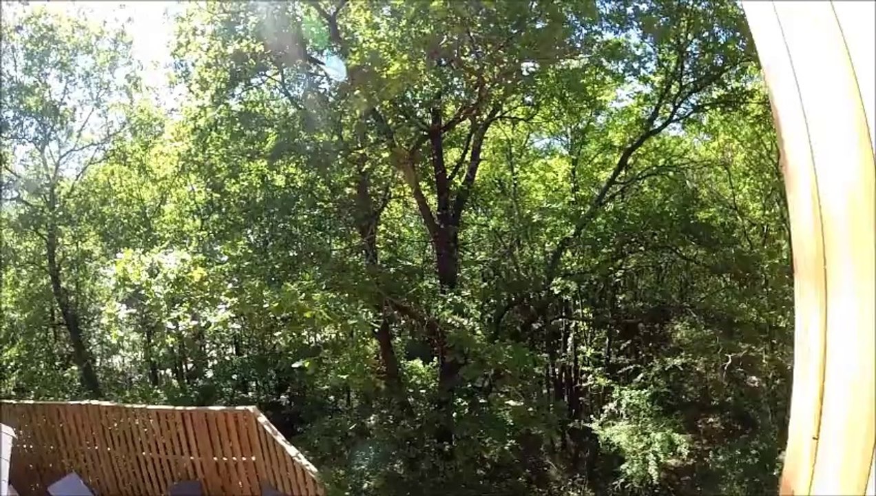Manoir dans les arbres 10 personnes DéfiPlanet