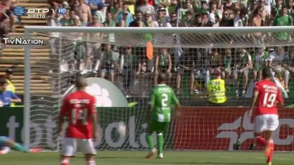 Benfica 1 Vs 0 Rio Ave Golo Gaitan 20' Final Taça de Portugal [HD]