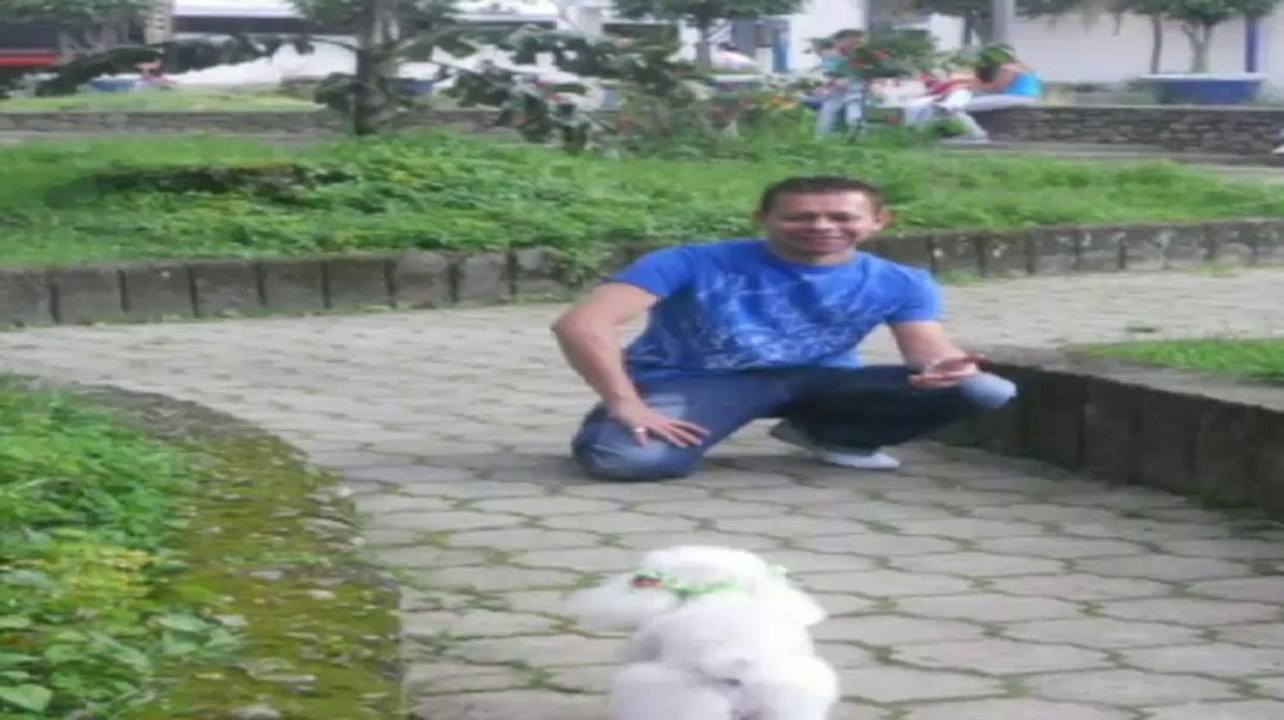 MI ÚNICO AMIGO